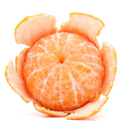 Similar image 5490577