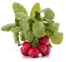 Similar image 5490582