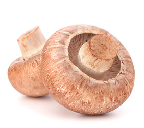 Similar image 5490585