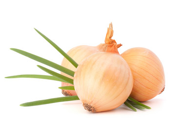 Similar image 5490596