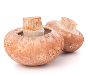 Similar image 5490634