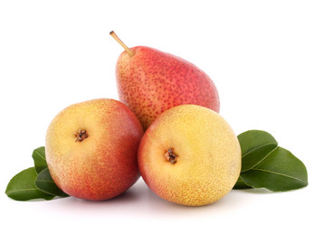 Similar image 5490639