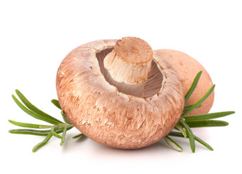 Similar image 5490645