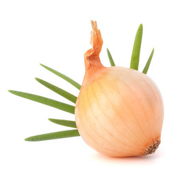 Similar image 5490652