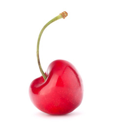 Similar image 5490679