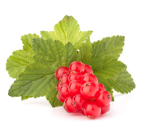 Similar image 5490681