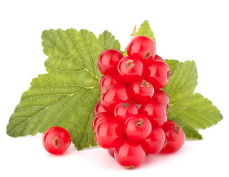 Similar image 5490702