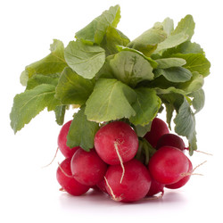 Similar image 5490710