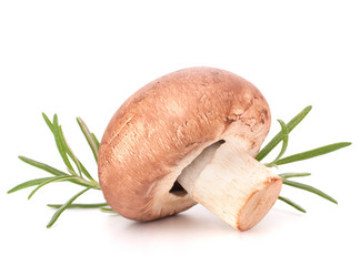 Similar image 5490711