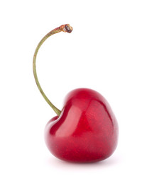 Similar image 5490743