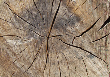 Similar image 5490811