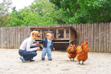 Similar image 5490815