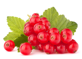 Similar image 5490822