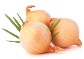 Similar image 5490826