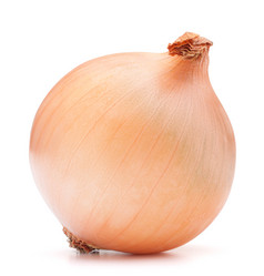 Similar image 5490829