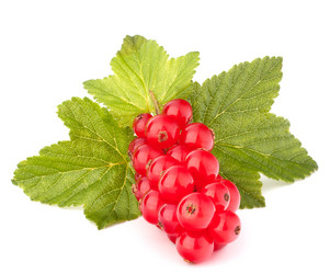 Similar image 5490954