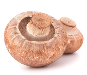 Similar image 5490965