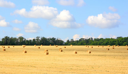 Similar image 5491010