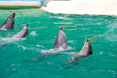 Similar image 5491015