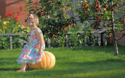 Similar image 5491039