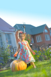 Similar image 5491043