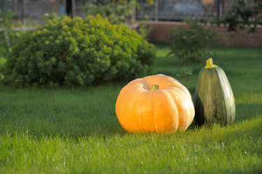 Similar image 5491045