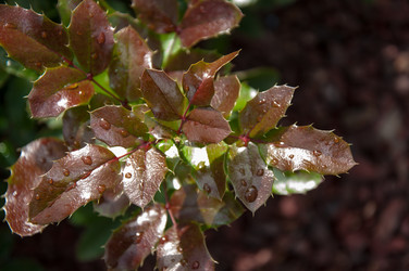 Similar image 5491076