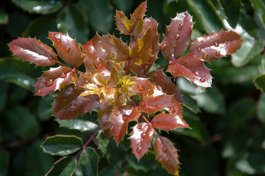 Similar image 5491077