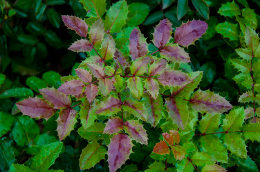 Similar image 5491078