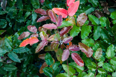 Similar image 5491079