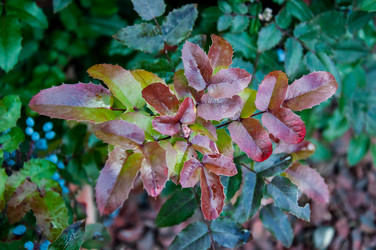 Similar image 5491081