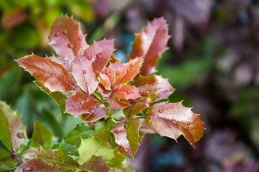 Similar image 5491082