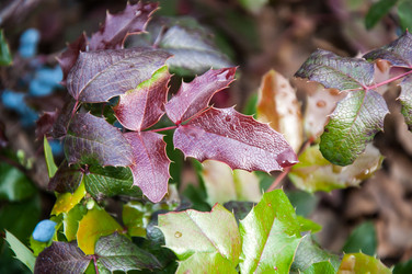 Similar image 5491083