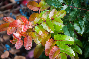 Similar image 5491084