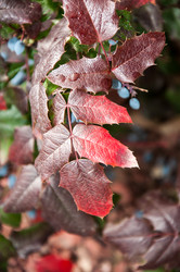 Similar image 5491085