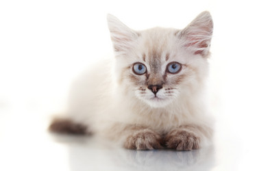 Similar image 5491091