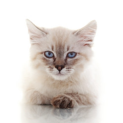 Similar image 5491093