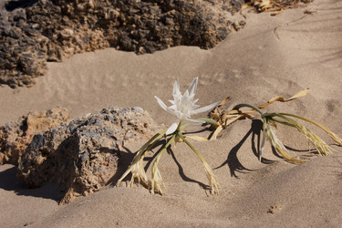 Similar image 5491096