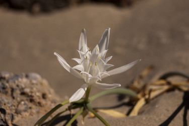 Similar image 5491102