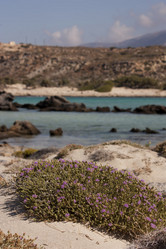 Similar image 5491103