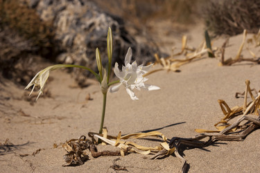 Similar image 5491104