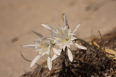 Similar image 5491124