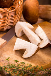 Similar image 5491136