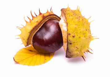 Similar image 5491144