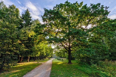 Similar image 5491265