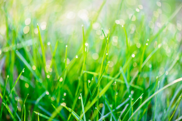 Similar image 5491276