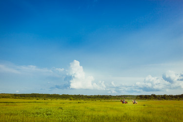 Similar image 5491399