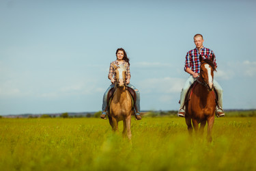 Similar image 5491411