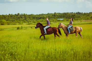 Similar image 5491421