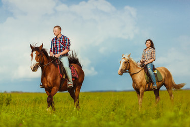 Similar image 5491423